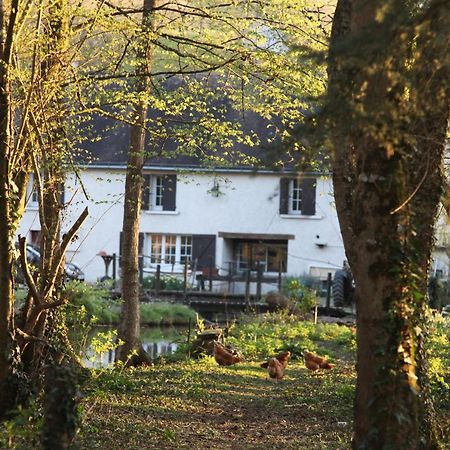 Fleurs De Brenne Gite Neuillé-le-Lierre Zewnętrze zdjęcie