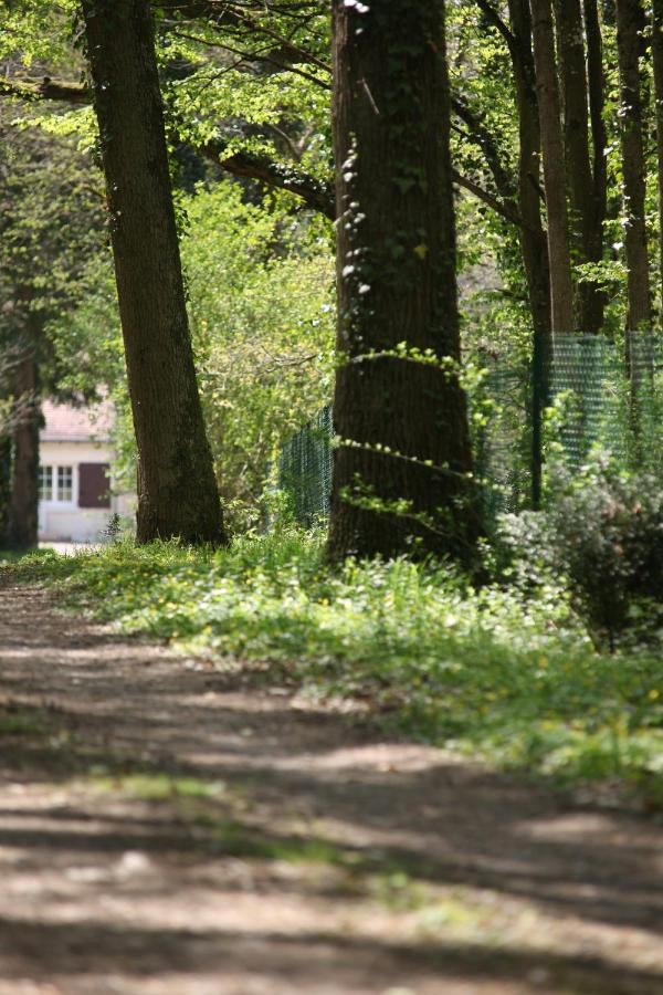 Fleurs De Brenne Gite Neuillé-le-Lierre Zewnętrze zdjęcie