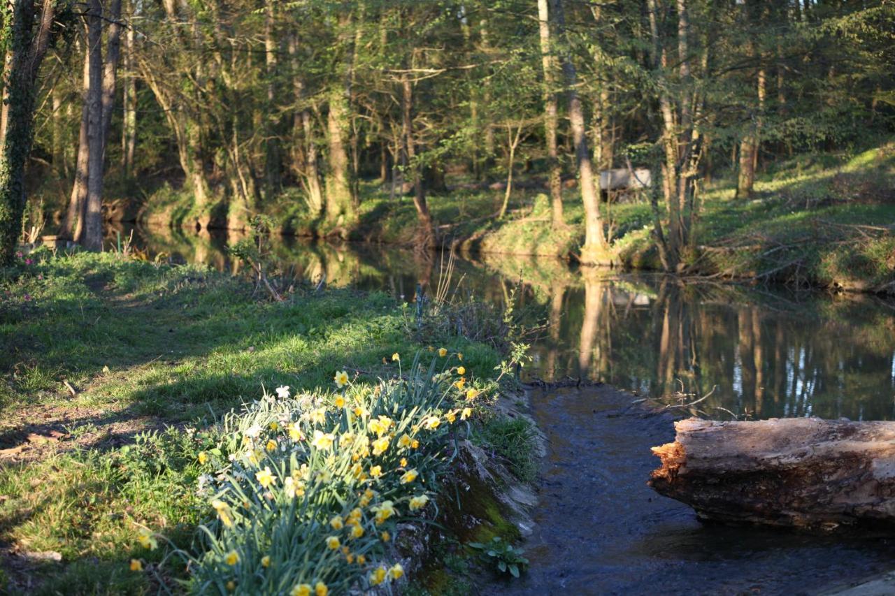 Fleurs De Brenne Gite Neuillé-le-Lierre Zewnętrze zdjęcie