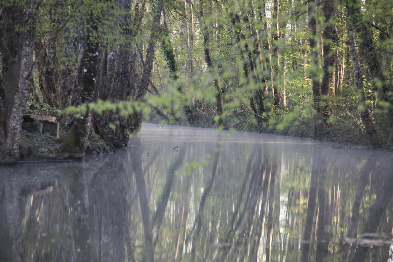 Fleurs De Brenne Gite Neuillé-le-Lierre Zewnętrze zdjęcie