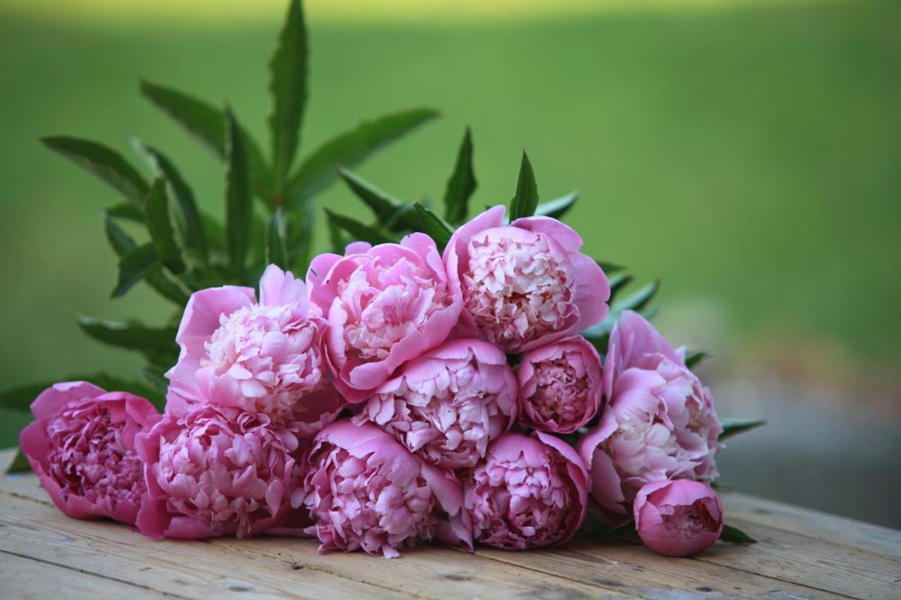 Fleurs De Brenne Gite Neuillé-le-Lierre Zewnętrze zdjęcie