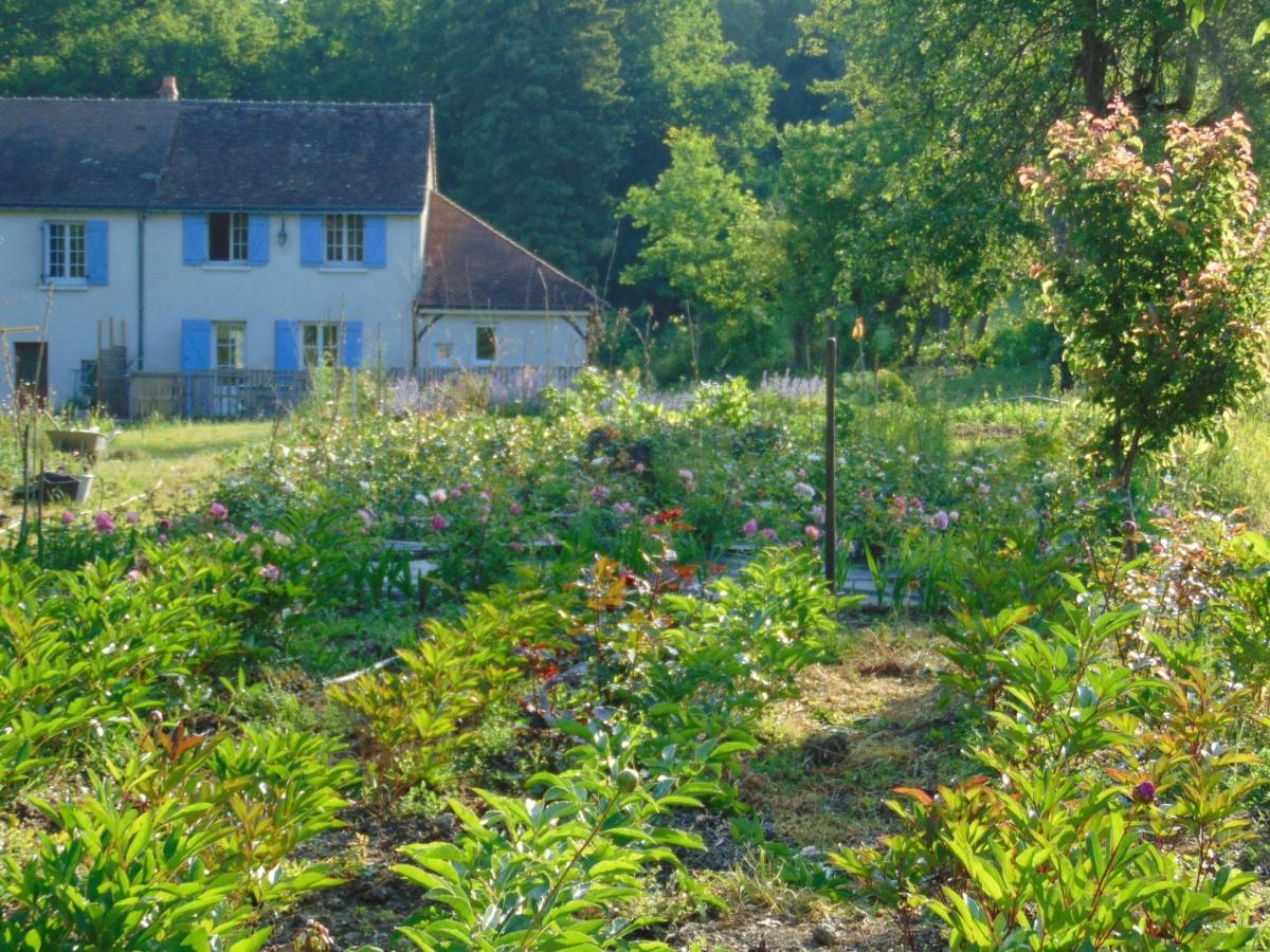 Fleurs De Brenne Gite Neuillé-le-Lierre Zewnętrze zdjęcie